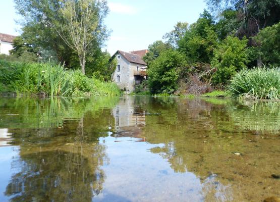 Balade sur L'Anglin 